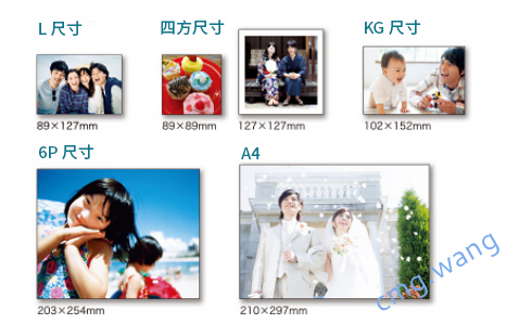 Frontier DE100，照片喷墨打印机